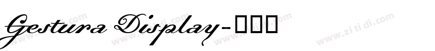 Gestura Display字体转换